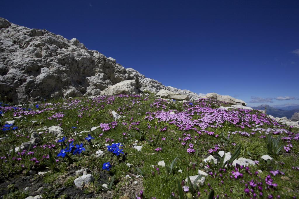 Casa Serac' Daire La Valle Dış mekan fotoğraf